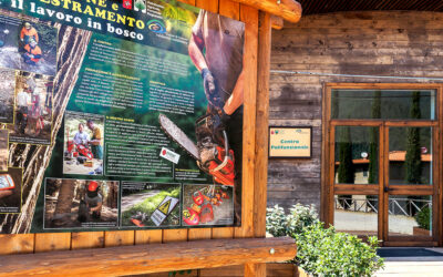 CORSO PER ISTRUTTORE FORESTALE: aperte le candidature per partecipare