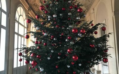 Abeti di Natale a marchio Foresta Modello Montagne Fiorentine FMMF – IL LEGNO per il Presidente della Repubblica Italiana Sergio Mattarella