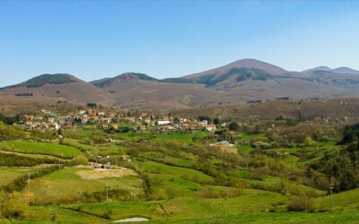 Blocco del ceduo in Amiata: 21 sigle del settore forestale contro il parere della Sovrintendenza