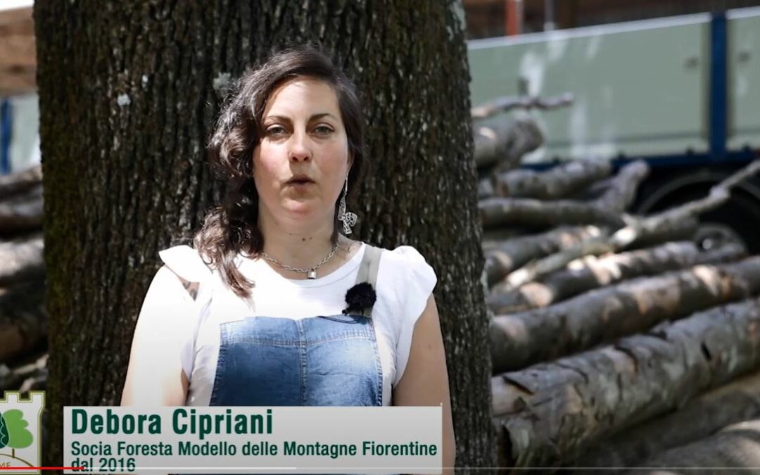VIDEO CUSTODI DEL TERRITORIO CUSTODI DEL PAESAGGIO