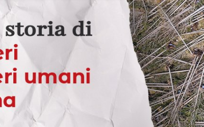VAIA: TRE ANNI DOPO UN PODCAST RACCONTA LA TEMPESTA CHE SCONVOLSE IL NORD-EST