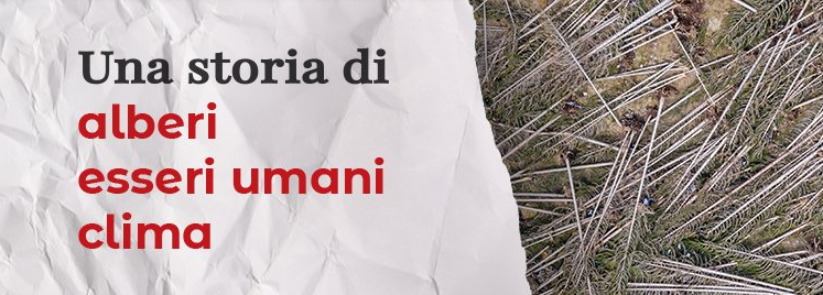 VAIA: TRE ANNI DOPO UN PODCAST RACCONTA LA TEMPESTA CHE SCONVOLSE IL NORD-EST