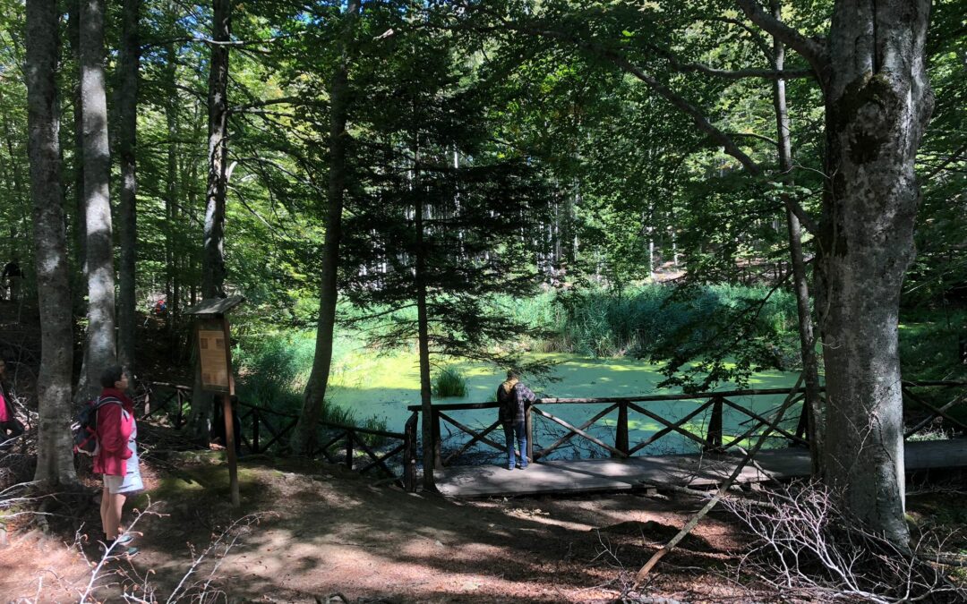 Progetto FOR.SA “Foresta e Salute”