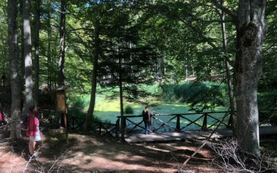 Progetto FOR.SA “Foresta e Salute”