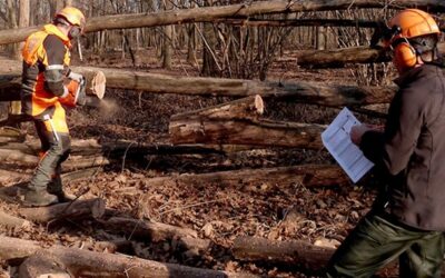 14 Luglio a RINCINE UN CANTIERE DIMOSTRATIVO DEL PROGETTO For.Italy SULLA FORMAZIONE FORESTALE 