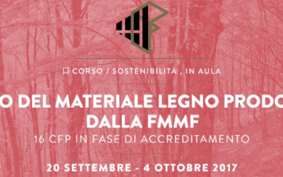Corso e Concorso design con il legno della FMMF