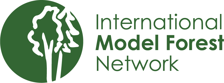 rete internazionale
