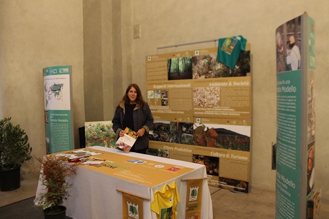 Autunno in Valdarno e Valdisieve