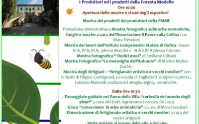 LE MERAVIGLIE DELLE FILIERE PRODUTTIVE DELLA FORESTA MODELLO DELLE MONTAGNE FIORENTINE
