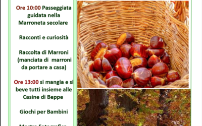 L’AUTUNNO E LA FORESTA: I MARRONI 