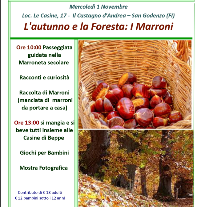 L’AUTUNNO E LA FORESTA: I MARRONI 