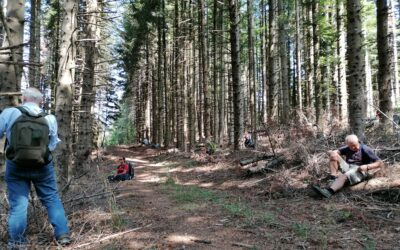 Terapia Forestale 24 Agosto presso Croce ai Mori (Londa)