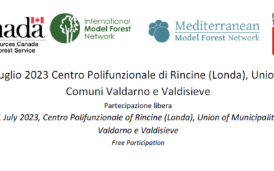 INCONTRO SEGRETARIATO INTERNAZIONALE: 21 Luglio Rincine