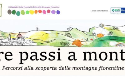 TRE PASSI A MONTE ed 2024