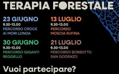 Sessioni gratuite di Terapia Forestale del progetto FOR.SA.