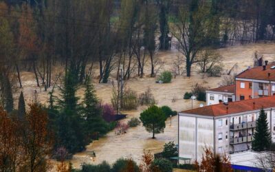 21 MARZO GIORNATA INTERNAZIONALE DELLE FORESTE 